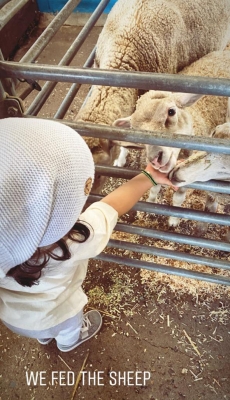 Actors Kunal Kemmu and Soha Ali Khan