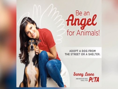 Actress Sunny Leone has recently launched a vegan campaign at the Lakme Fashion Week. In association with People for the Ethical Treatment of Animals (PETA), Sunny unveiled her new ad, which shows the actress