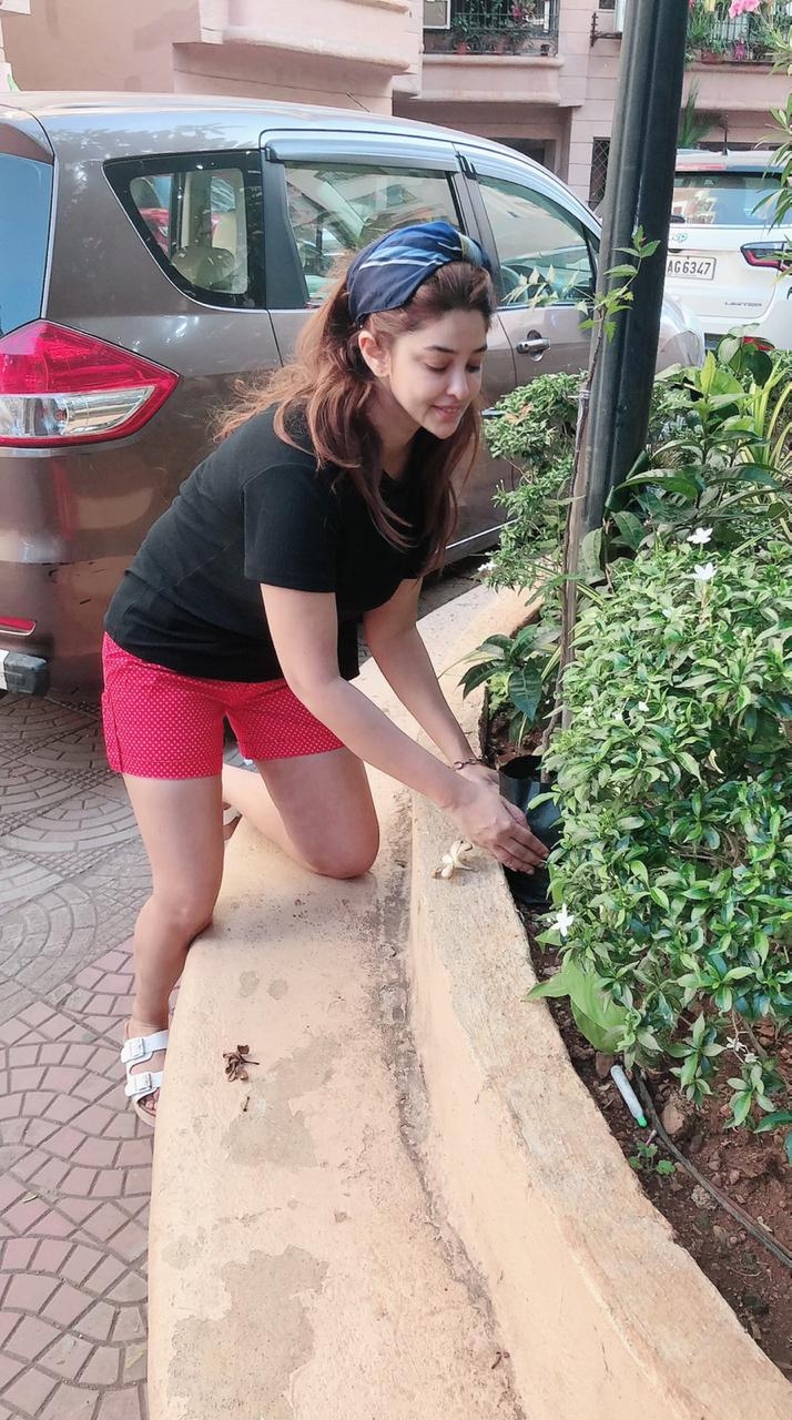 Lockdown diaries: Payal Ghosh learns gardening.