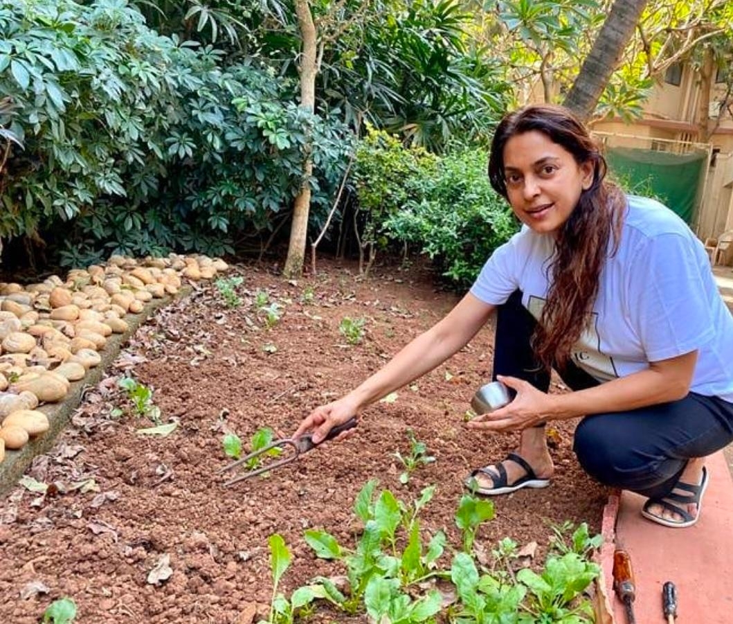 Lockdown diaries: Farmville time in B-Town!