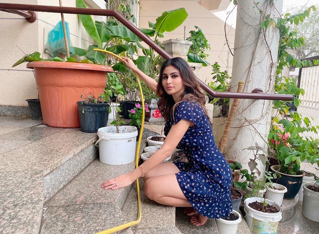 Lockdown diaries: Farmville time in B-Town!