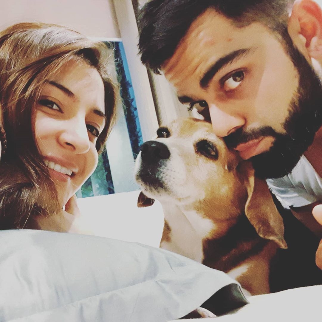 Gone to a better place: Kohli mourns death of pet dog Bruno.