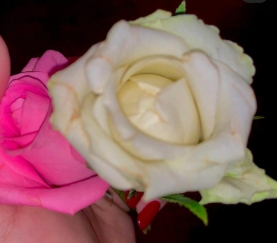 Suhana Khan gets cute birthday card from kid brother AbRam.