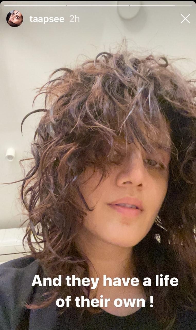 Taapsee Pannu shares her hair woes.