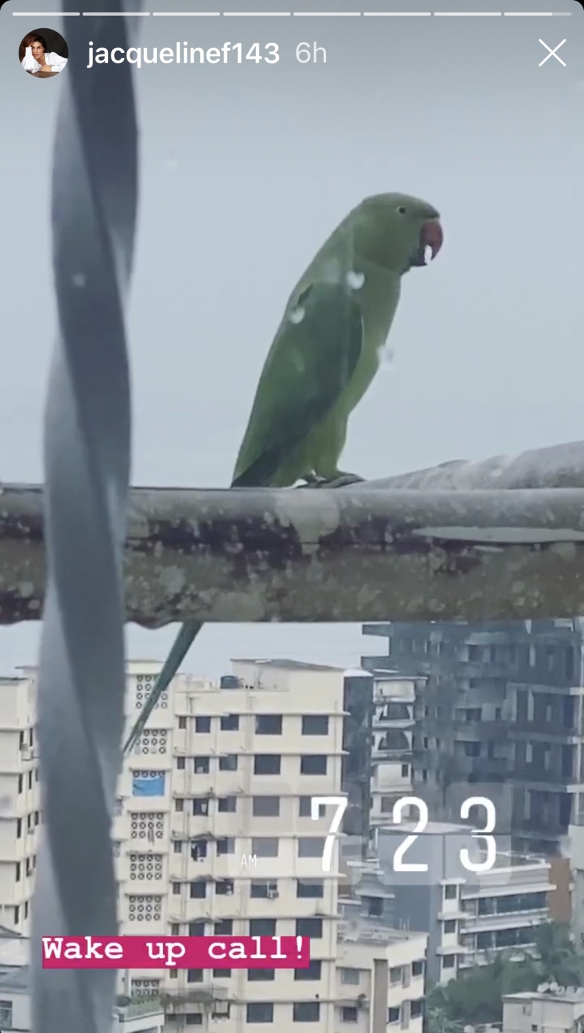 Jacqueline Fernandez. (Photo: Durga Chakravarty/IANS)