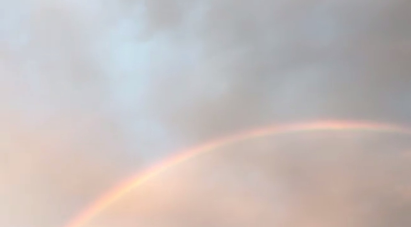 Sai Pallavi shares why she woke up with a smile. (Photo: Durga Chakravarty/IANS)