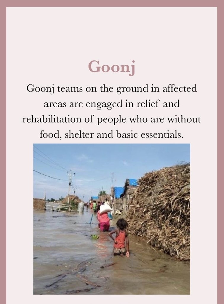 Priyanka Chopra, Nick Jonas donate to Bihar flood relief.