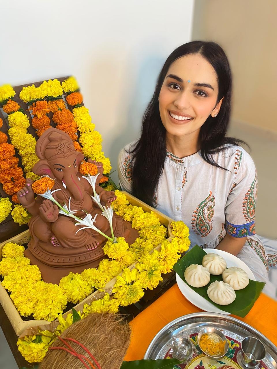 Manushi Chhillar.