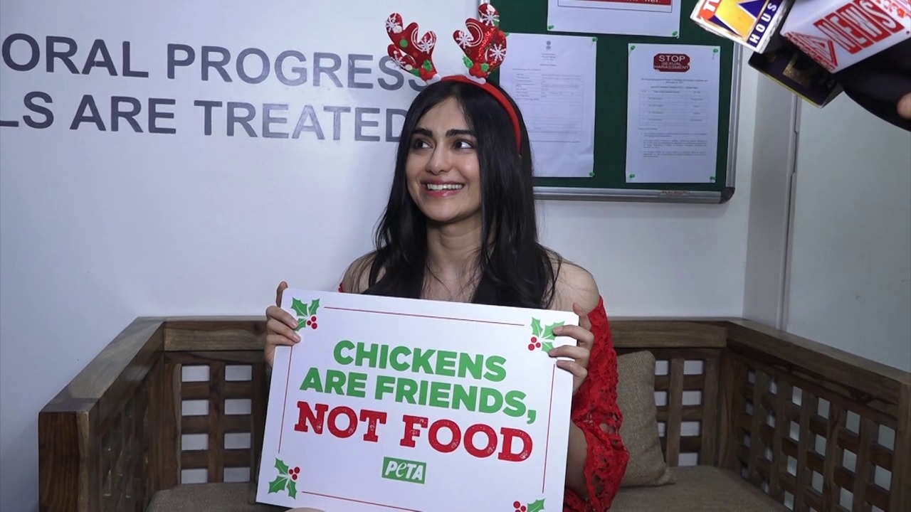 Adah Sharma urges people to turn vegetarian to enjoy a healthy life