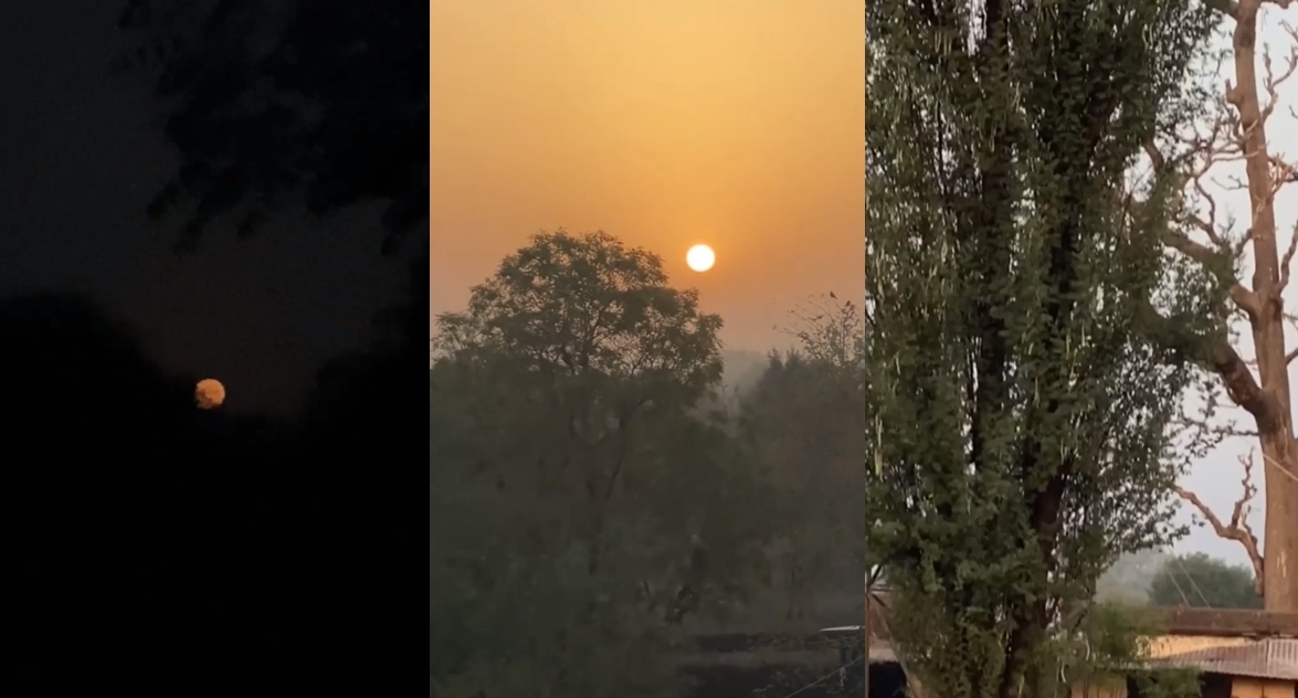 Tisca Chopra is doing graveyard shifts.(photo:instagram)