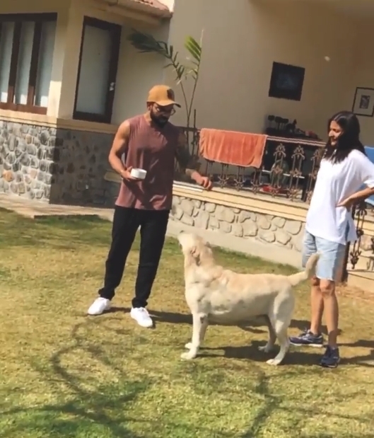 Anushka shares 'priceless moments' of 2020.(photo:Instagram)