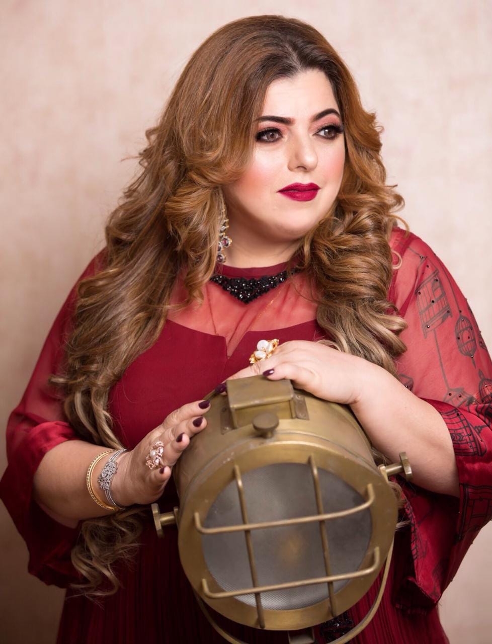 Delnaaz Irani: The pandemic did not change anything for my career