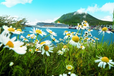 Go cruising this vacation