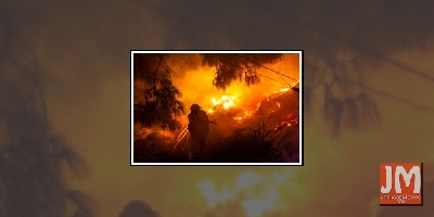 Steve Irwin's family help over 90,000 animals in Australia