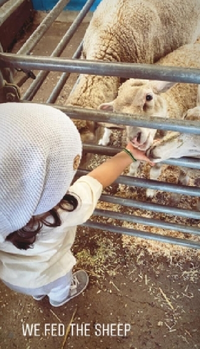 Actors Kunal Kemmu and Soha Ali Khan