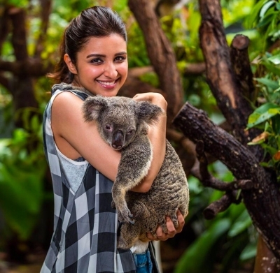 Actress Parineeti Chopra, who is also the first Indian woman ambassador of Tourism AustraliaÃƒÂƒÃ‚Â¢ÃƒÂ‚Ã‚Â€ÃƒÂ‚Ã‚Â™s ÃƒÂƒÃ‚Â¢ÃƒÂ‚Ã‚Â€ÃƒÂ‚Ã‚Â˜Friends of AustraliaÃƒÂƒÃ‚Â¢ÃƒÂ‚Ã‚Â€ÃƒÂ‚Ã‚Â™ programme, has raised an alarm regarding the South Australia bushfires. Parineeti took to Instagram to share a few pictures with wild animals in Australia