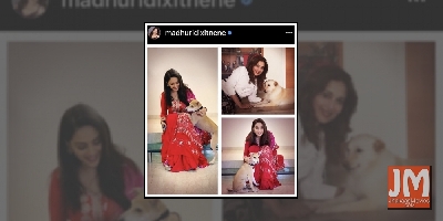 B-Town's pet parents gear up for a 'paw-erful' summer