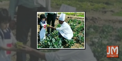 Taimur Ali Khan picks organic veggies at a farm