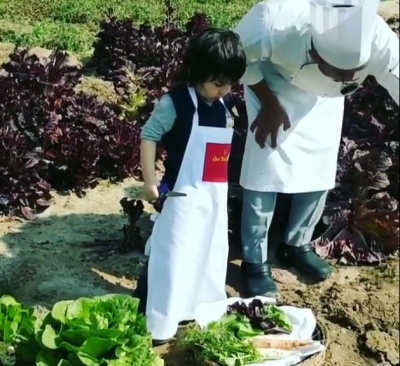 Taimur Ali Khan picks organic veggies at a farm.