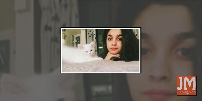 B-Town pets are Instagram superstars!