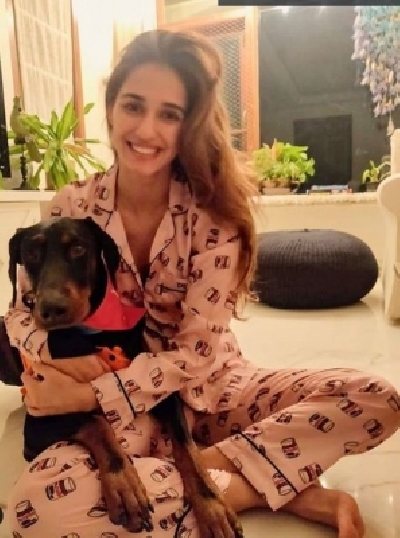 Disha Patani is a parent to not one but four furry 