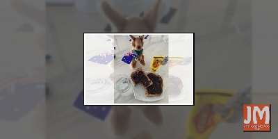 COVID-19: Tom Hanks offers advice to fans after testing positive