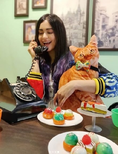 Actress Adah Sharma has a stuffed toy cat, which she has fondly named Radha. Adah has made an Instagram profile for the toy, which goes by the name "adah_ki_radha".