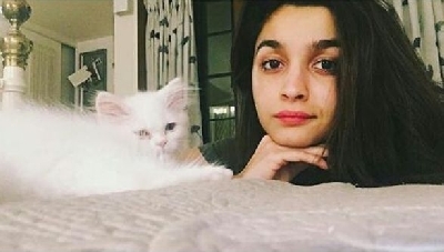 Actress Alia Bhatt has a white persian cat, whom she has named Edward. She constantly gives sneak peek into her kitty's life through his profile "bhattedward". Edward's bio reads: "Momma's boy @aliaabhatt. Eddiiee..."