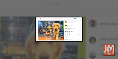 Hrithik's quirky post urging people to stay at home (lead)