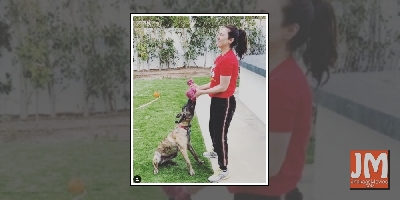 Preity Zinta spends 'pool day' with pet pup