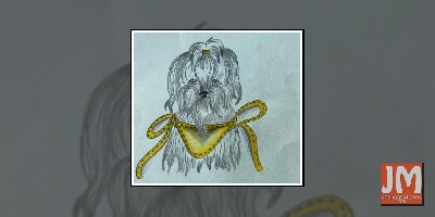 COVID-19:  Farah Khan's daughter sells her sketches for stray animals