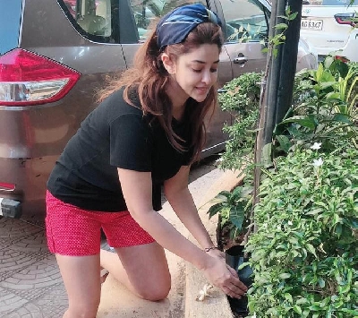 Lockdown diaries: Payal Ghosh learns gardening.
