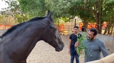 Salman Khan eats leaves for breakfast along with his horse, says it's 'damn good'.