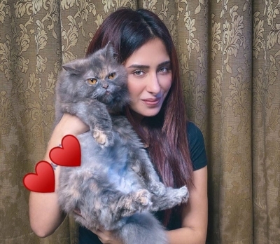 Madhuri, Preity shower love on furry friends on National Pet Day.