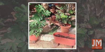 Lockdown diaries: Farmville time in B-Town!