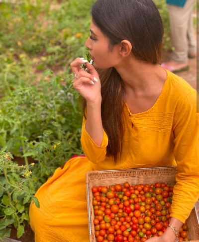 Lockdown diaries: Farmville time in B-Town!