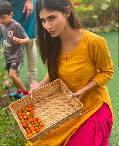 Lockdown diaries: Farmville time in B-Town!