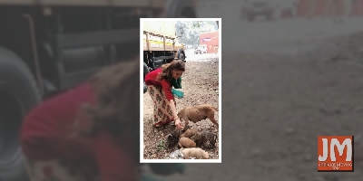 Urvashi Rautela urges people not to neglect stray animals