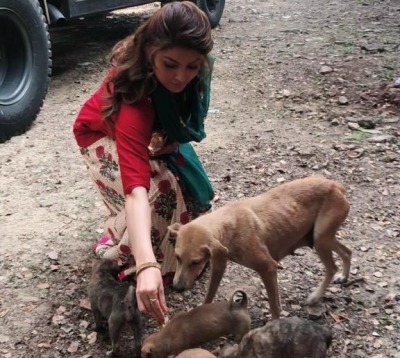 Urvashi Rautela urges people not to neglect stray animals.