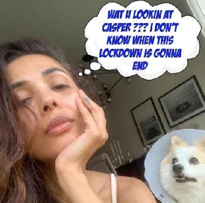 Malaika's funny lockdown chat with pet dog Casper.