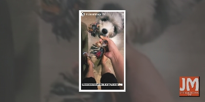 Trisha discovers a new 'home workout for triceps and biceps'