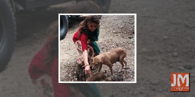 Urvashi Rautela: Animal life matters