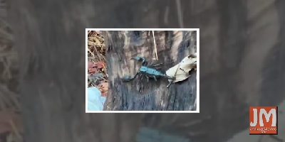 Salman Khan's Panvel farmhouse affected by cyclone Nisarga