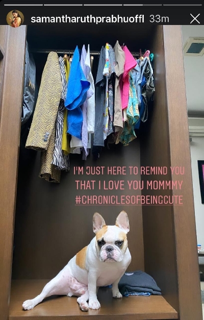 Samantha shares 'chronicles of being cute'.