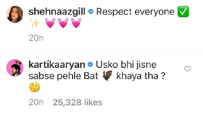 Kartik Aaryan has a funny quip for Shehnaaz Gill.