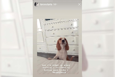 This is how Tara Sutaria wakes up every morning.