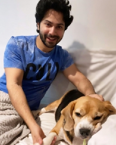 Varun Dhawan. Varun Dhawan.