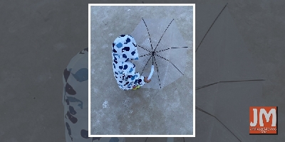 Neha Dhupia captures her 'little storm' Mehr in action