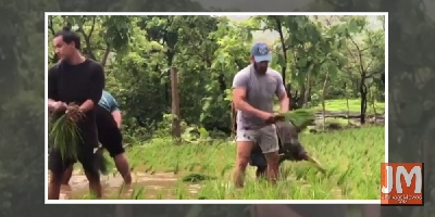 Salman Khan plants rice saplings at the farm