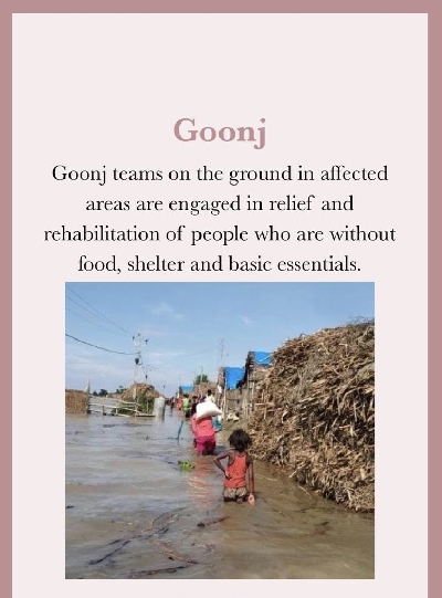 Priyanka Chopra, Nick Jonas donate to Bihar flood relief.